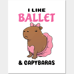 I Like Ballet and Capybaras Posters and Art